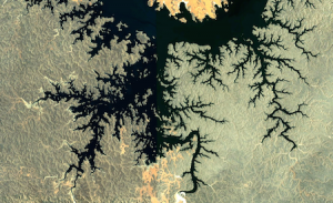 googlefractal