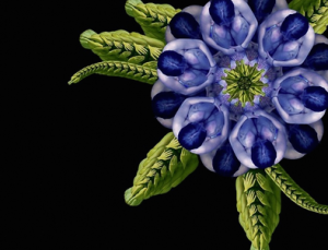 floreshumanas